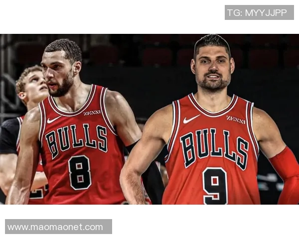 武切维奇与小加索尔对决分析：两位内线巨星的风格与战术较量