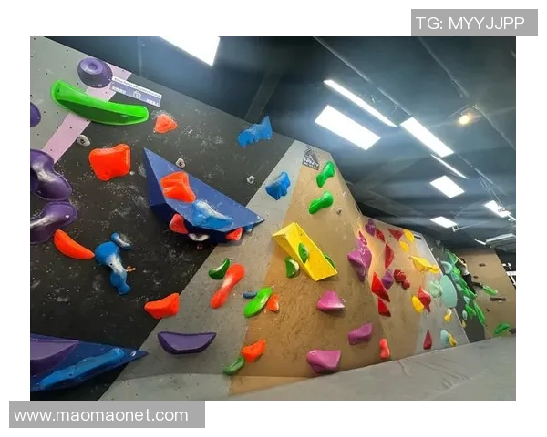 极限运动战术解析:西安极限运动队的创新转换体系与实践探索MBA