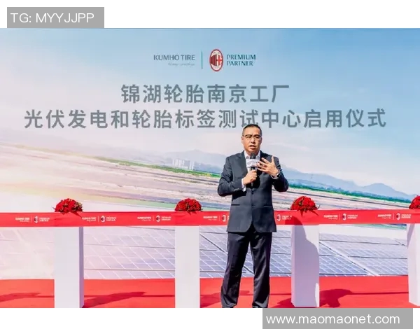 南京飞盘队的速度挑战与成长之路探秘