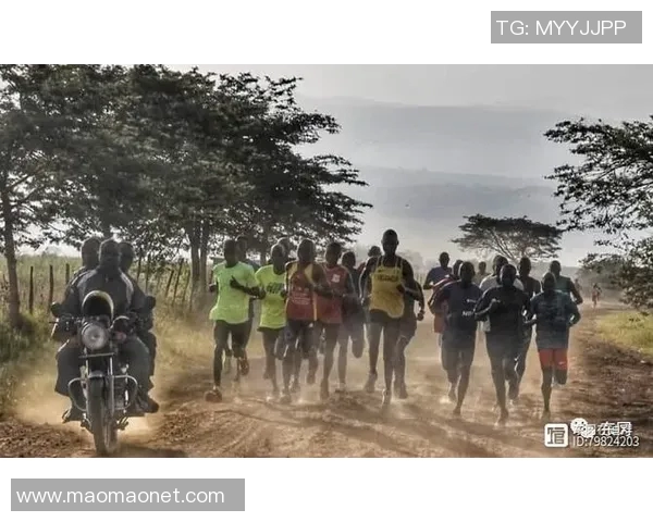 西安排球队耐力训练引发热议专家观点各异引发关注