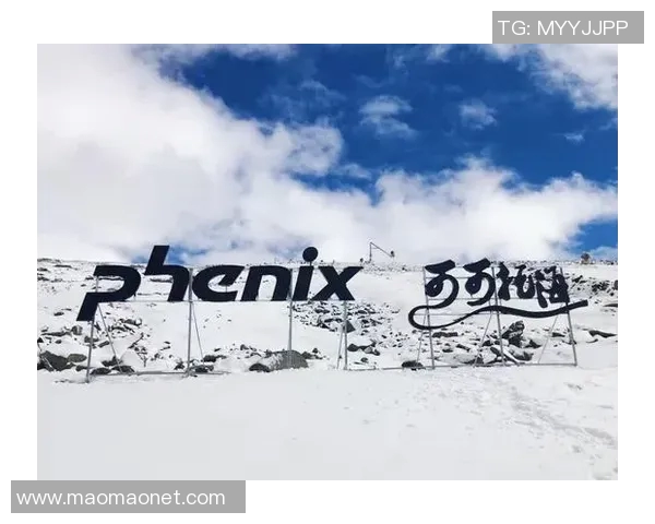 北京极限运动队创新防反策略助力运动员安全与竞技水平提升MBA