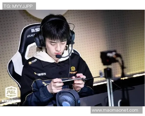 和平精英战术分析：RNG区域防守策略的深度解读与实战应用